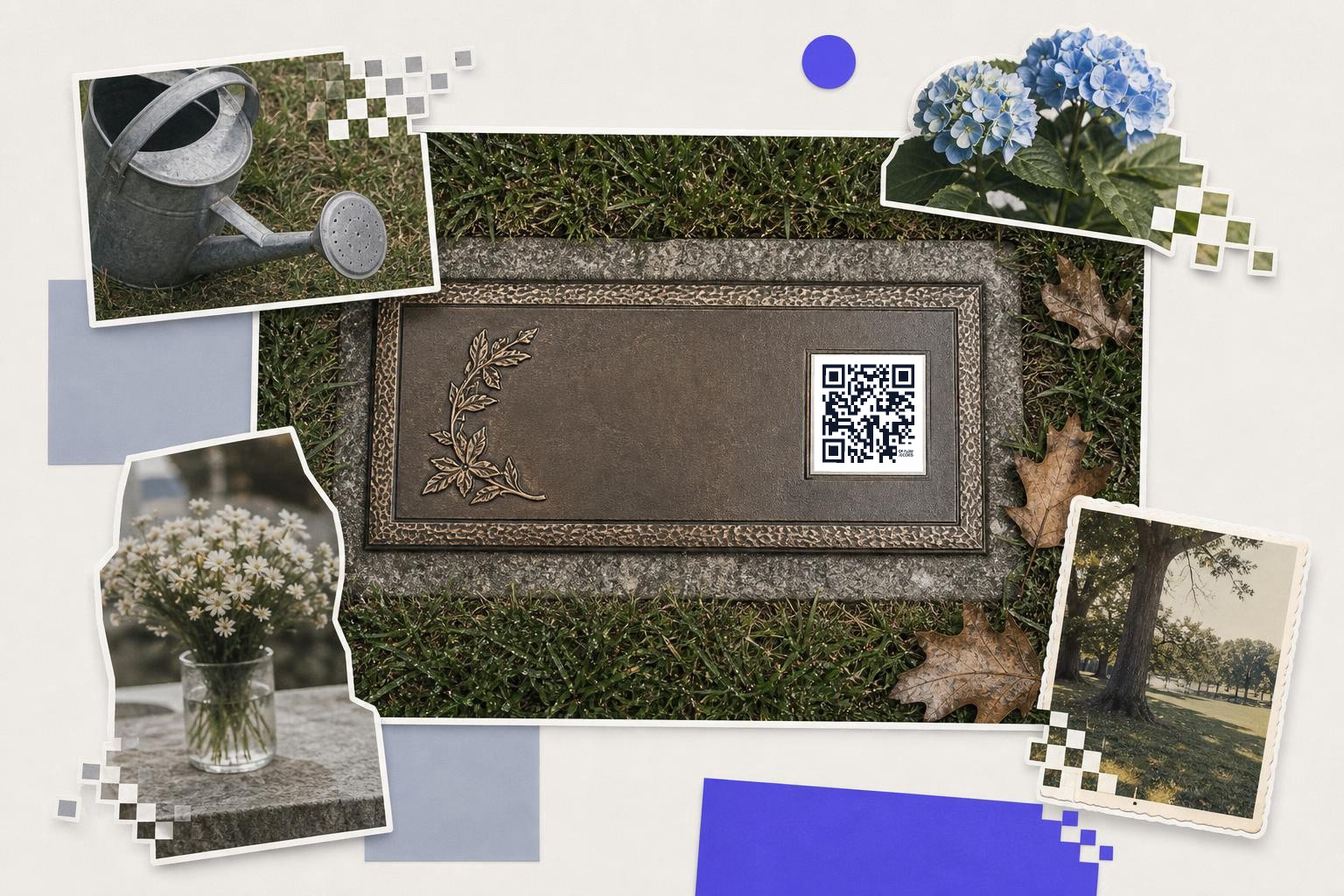 A watering can, daisies in a vase, blue hydrangeas, a young tree and a bronze plaque with a QR code.