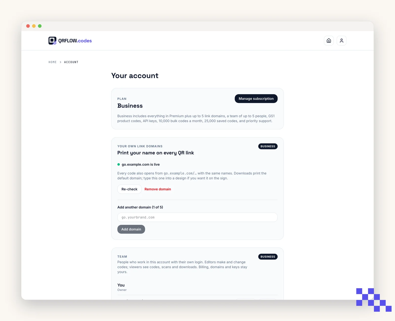 The Account page with the plan, custom domain, email and password sections
